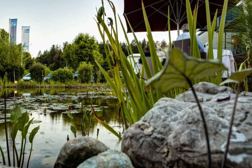 Blick ins Grüne am Koi-Teich vor dem Restaurant mit Sonnenterrasse und wuchernden Gräsern