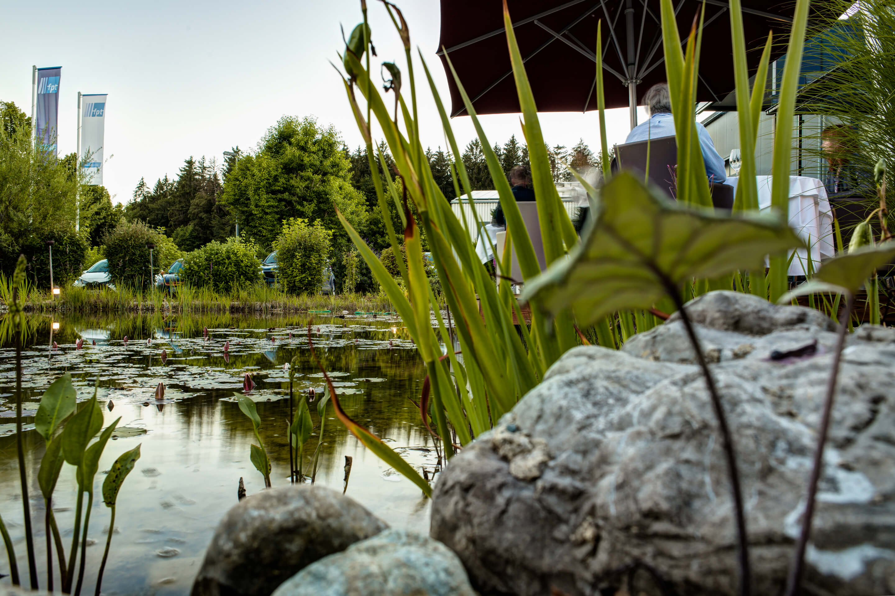 Blick ins Grüne am Koi-Teich vor dem Restaurant mit Sonnenterrasse und wuchernden Gräsern
