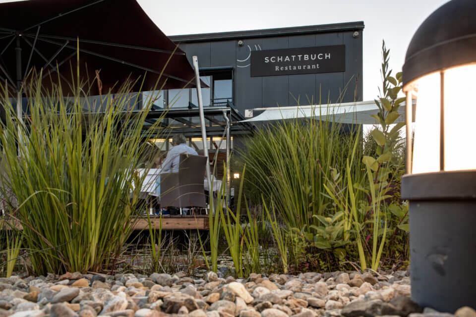 Planzen und Gräser wachsen aus den Steinen, die einen Teich umgeben