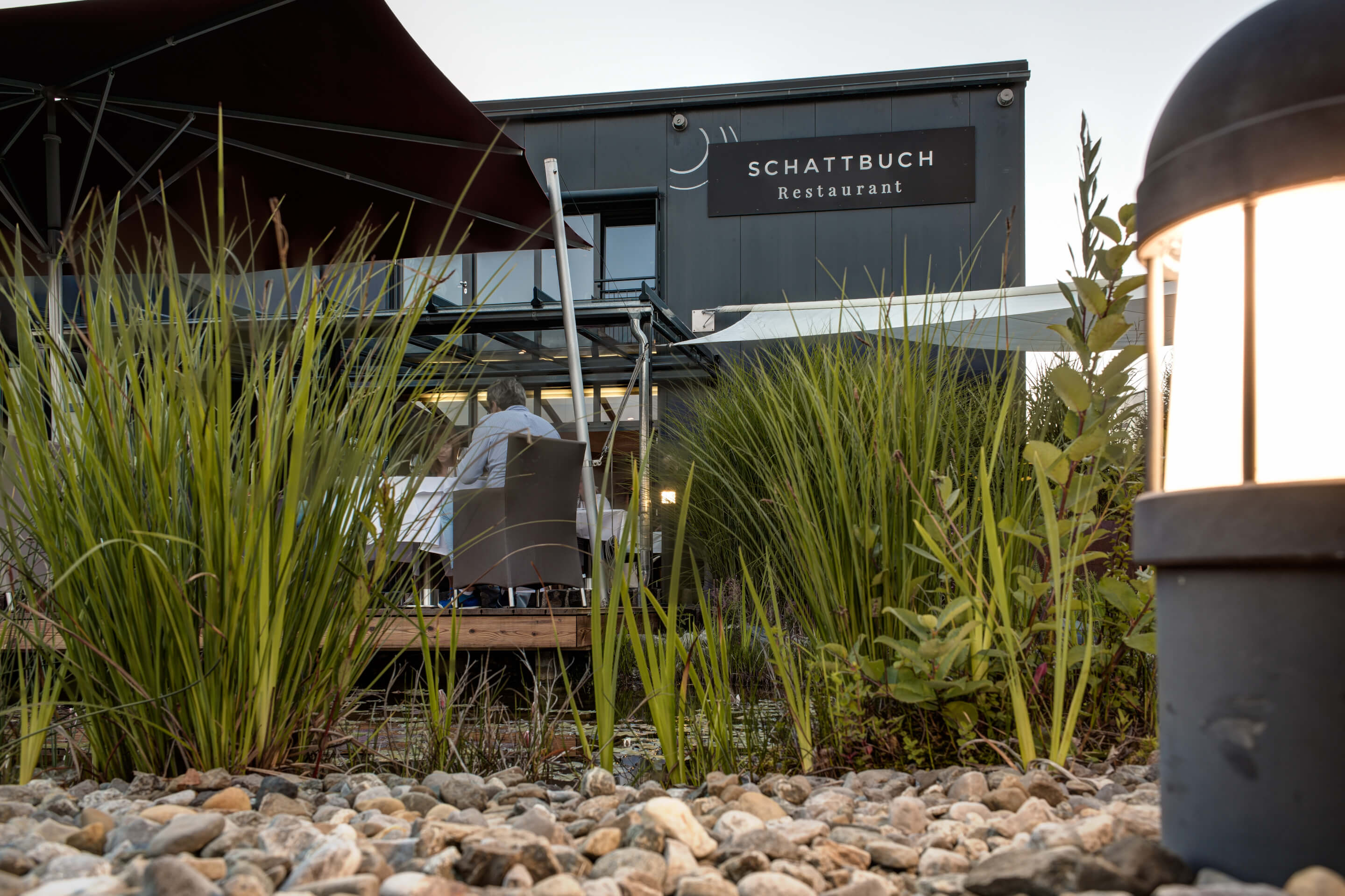 Planzen und Gräser wachsen aus den Steinen, die einen Teich umgeben