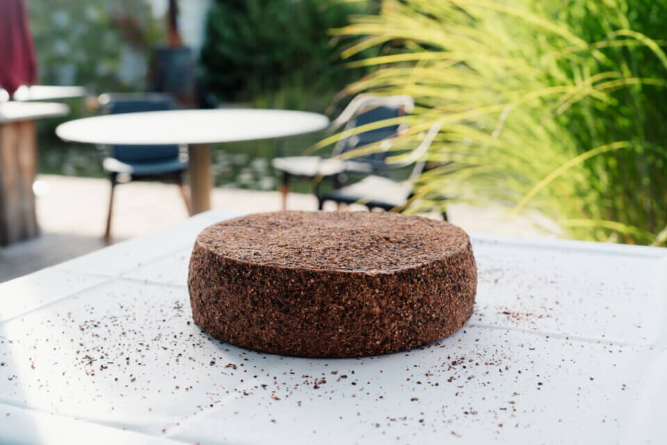 Foto des Schattbuch Pfefferkäse "Shadow Blossom"