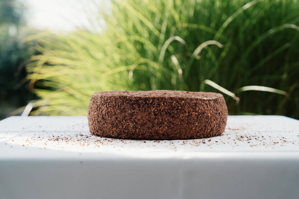 Frontalansicht des Pfefferkäse-Laibs